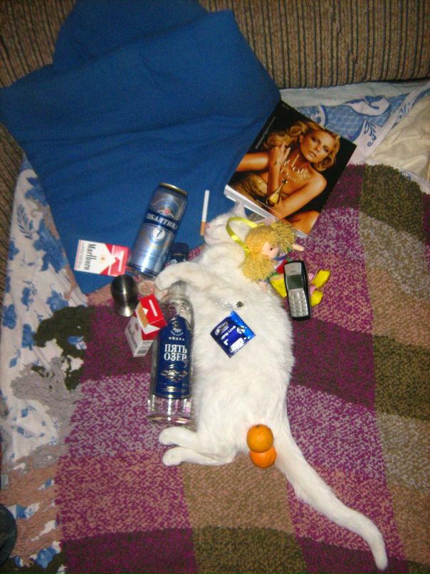 Дмитрий Android фотография #40