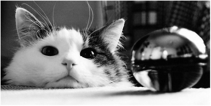 Дима Спиркин фотография #11