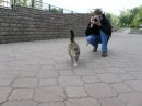 Фотография Паршукова Алексея