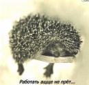 Фотография Виктория Денисенко