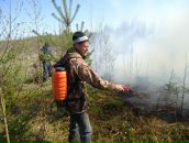 Фотография Семушкина Аркадия