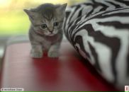 Фотография Осокиной Марии