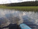 Софья Герасимова фотография #19 (источник - https://vk.com/id2431695)