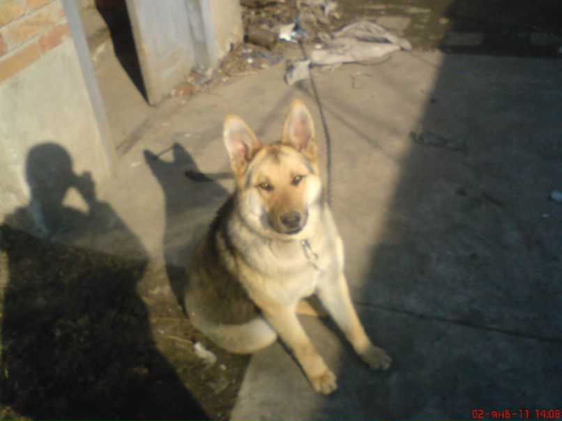 Санёк Лысенко фотография #18