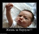 Александр Плотников фотография #27 (источник - https://vk.com/id2343714)
