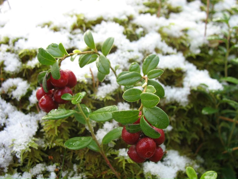 Константин Костин фотография #44