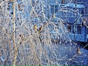 Фотография Сотнина Елена