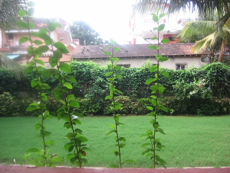 Васёна Апрель фотография #28