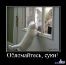 Фотография Винокуровой Елены