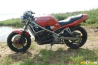 Фотография Телегина Макса