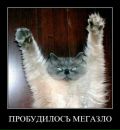 Юлька Жужукина фотография #34 (источник - https://vk.com/id136483953)