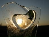 Фотография Кобыльских Марии