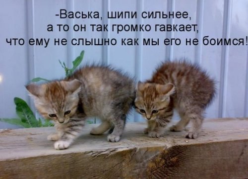 №19, Айгуль Полетаева, Уфа №19, Айгуль Полетаева, Уфа