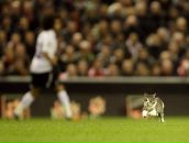 Фотография Михайловича Даниила