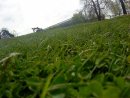 Bugs Bunny фотография #6 (источник - https://vk.com/id7121737)