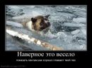 Валєра Пшеничний фотография #36 (источник - https://vk.com/id59249239)