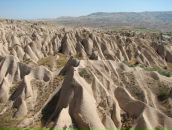 Яков Павлов фотография #15 (источник - https://vk.com/id853716)