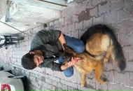 Abdulkadır Kaplan фотография #3 (источник - https://vk.com/id164612020)