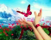 Фотография Селюниной Юлии