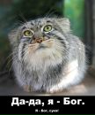 Андрій Ляшик фотография #16 (источник - https://vk.com/id94086701)