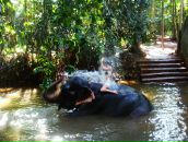 Фотография Pavlova Natali