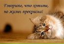 Ірчик Просто фотография #34 (источник - https://vk.com/id134184397)
