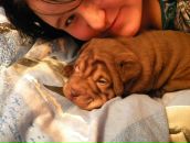 Фотография Депутатовой Анастасии