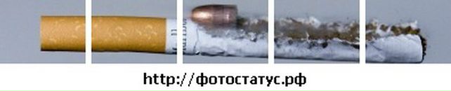 Boy Bsc фотография #13 (источник - https://vk.com/id132066025)