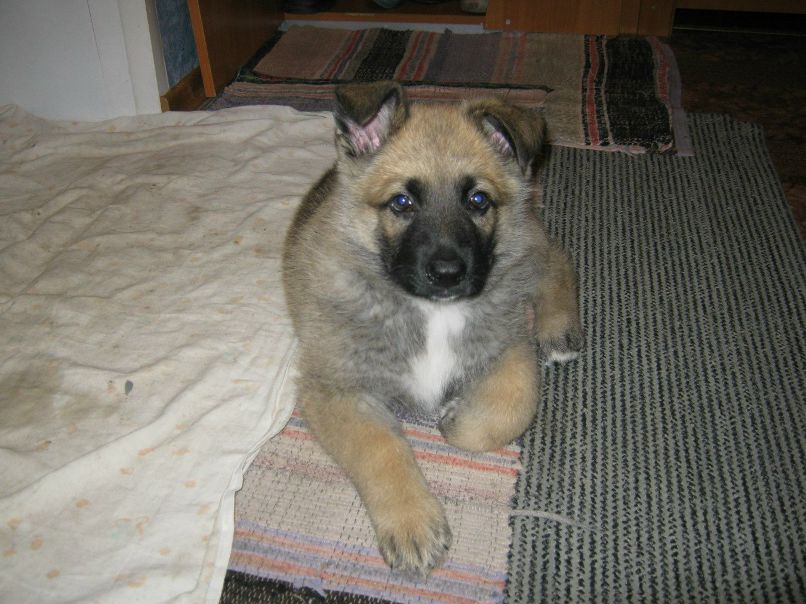 Сергей Камалов фотография #29