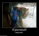 Богдан Вітинський фотография #48 (источник - https://vk.com/id21067711)