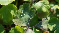 Дмитрий Крамарев фотография #15 (источник - https://vk.com/id274882)