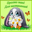 Світлана Шевель фотография #4 (источник - https://vk.com/id138926234)