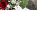 Лілія Левко фотография #47 (источник - https://vk.com/id144368814)