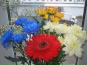 Фотография Вараковой Ольги