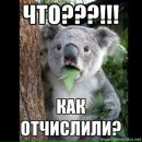 Фотография Карасёва Евгения