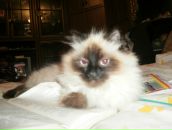 Таміла Рибінська фотография #3 (источник - https://vk.com/id122163182)