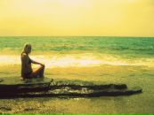 Фотография Новицкий Илья