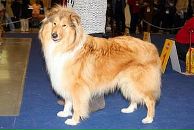 Фотография Андриановой Анны