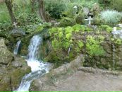 Иван Стефановић фотография #30 (источник - https://vk.com/id74217773)