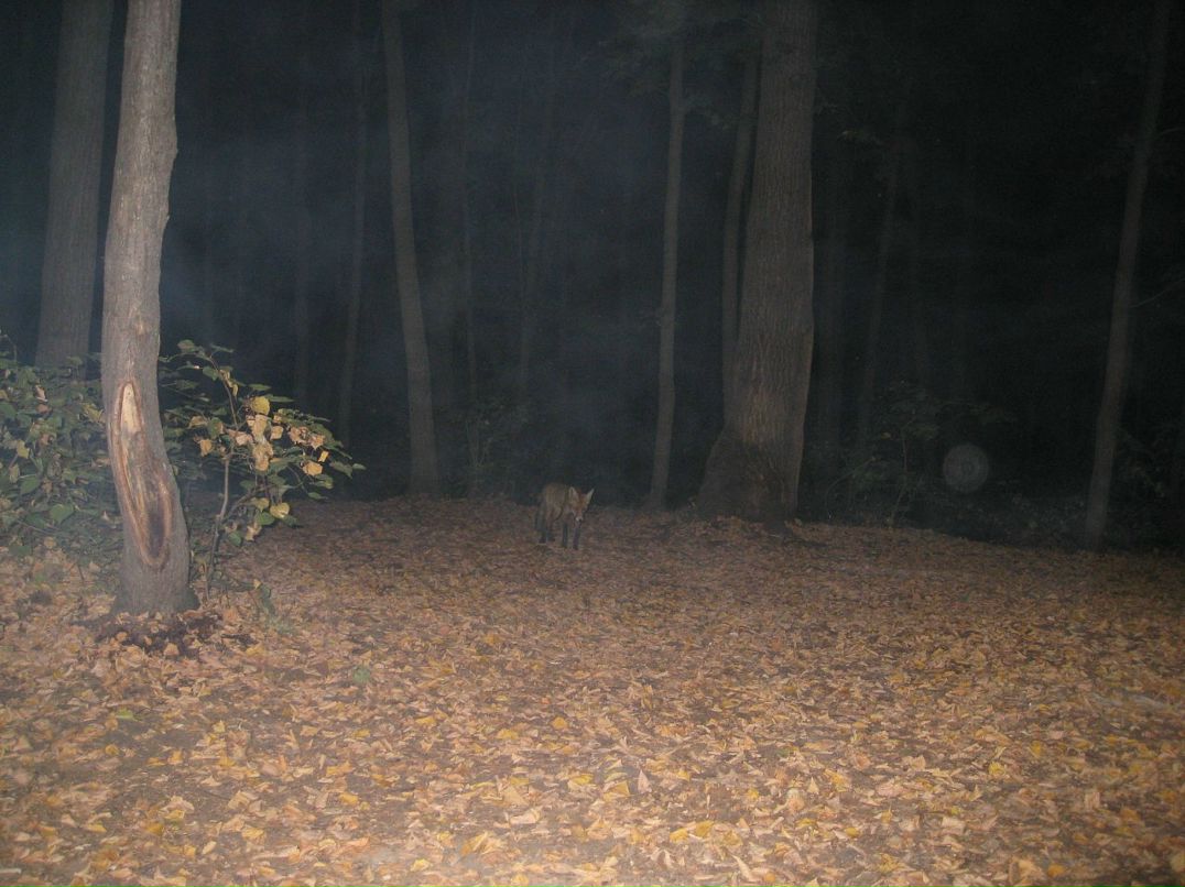 Rope Jumping фотография #21