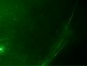 Арсен Мацків фотография #10 (источник - https://vk.com/id51858041)