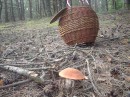 Інга Бурда фотография #27 (источник - https://vk.com/id17751062)