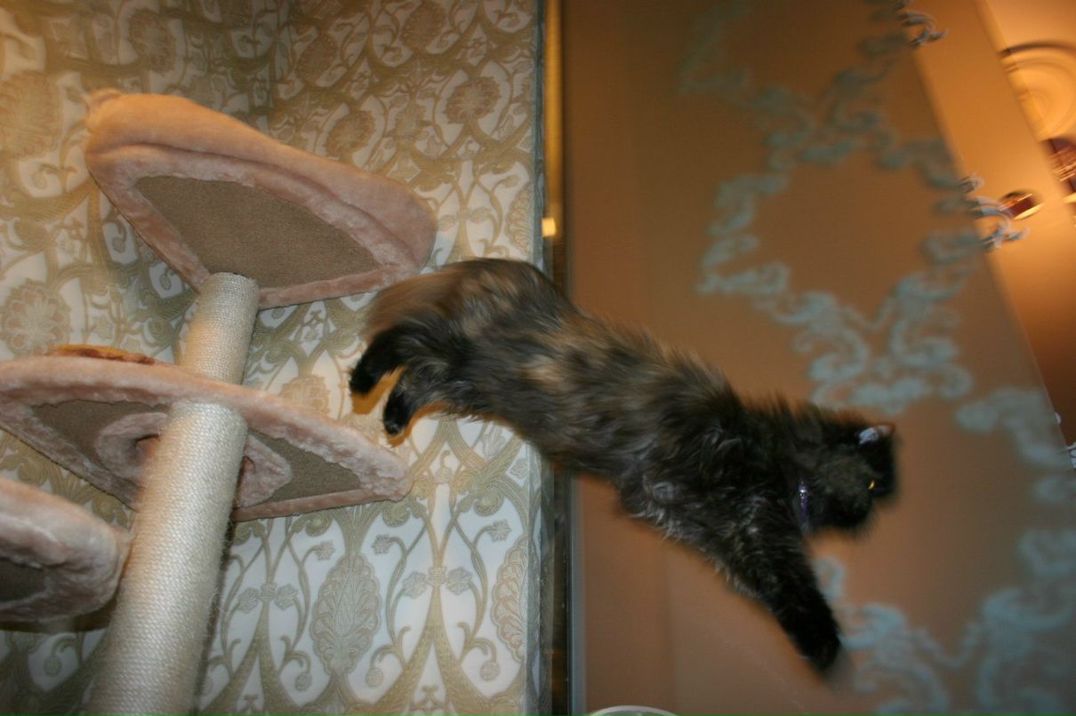 Сандра Ищенко фотография #3