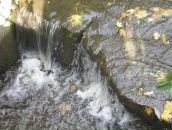 Анастасія Балюк фотография #37 (источник - https://vk.com/id110575314)