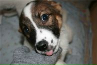 Фотография Маковеевой Екатерины