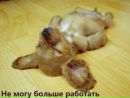 Фотография Будько Владимира
