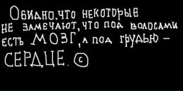 Lizok== Lavina!!!!!!! фотография #20 (источник - https://vk.com/id63316198)