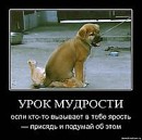Марта Сенів фотография #38 (источник - https://vk.com/id37907172)