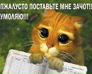 Ігор Островський фотография #5 (источник - https://vk.com/id29925790)