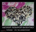 Андрій Сидлярук фотография #19 (источник - https://vk.com/id97035680)